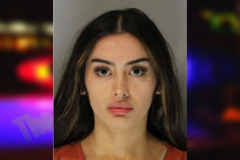 Leslie Pedraza Mugshots