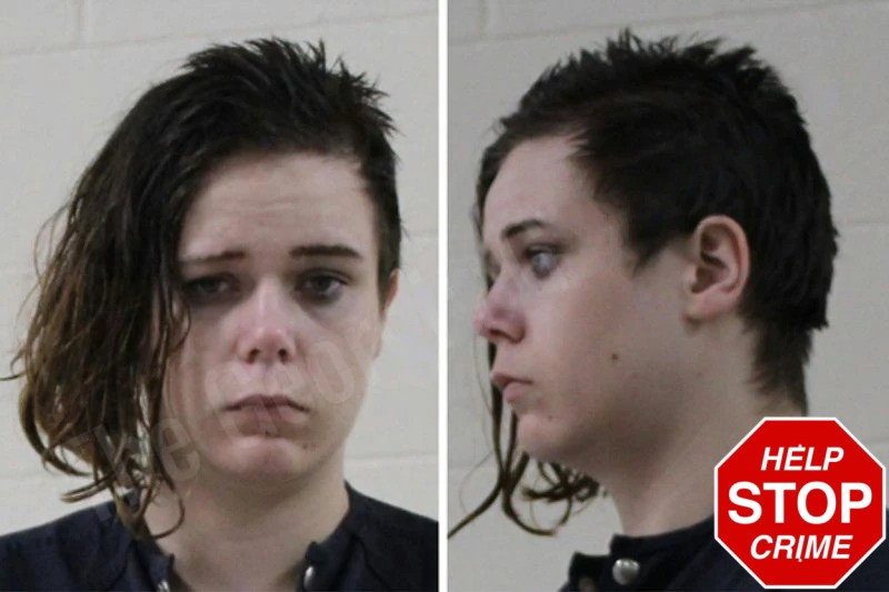 Leslie Tucker Mugshots