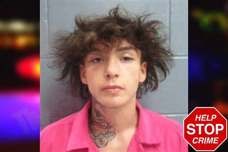 Levi Harris Mugshots