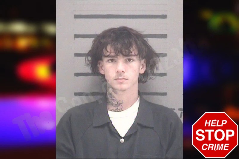 Levi Harris Mugshots