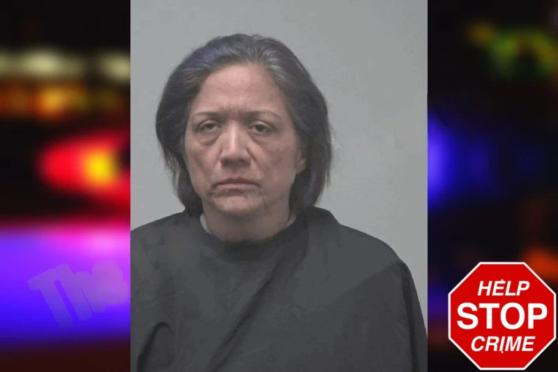 Lideiva Delgadillo Mugshots