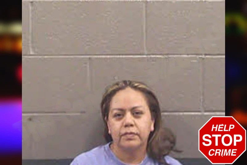 Lidia Castro Mugshots