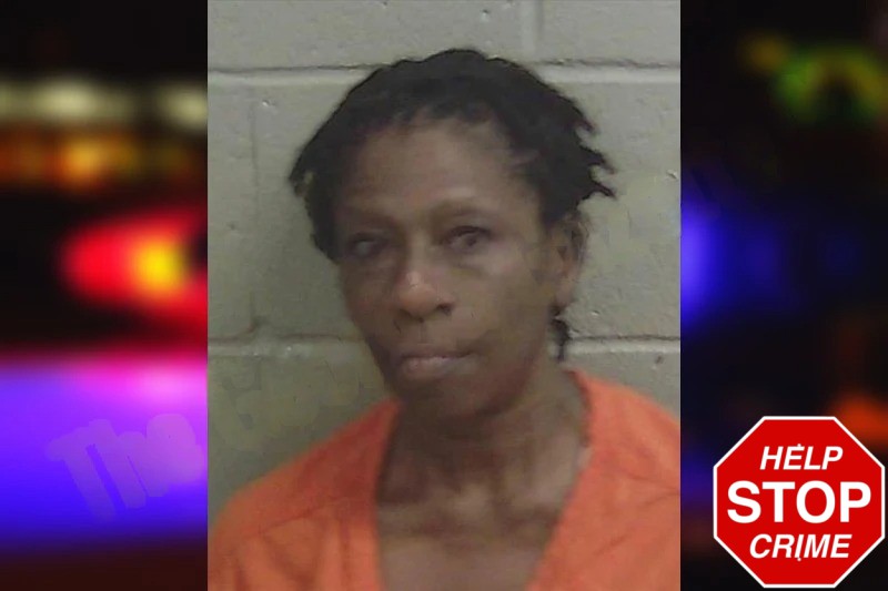 Lillie Johnson Mugshots