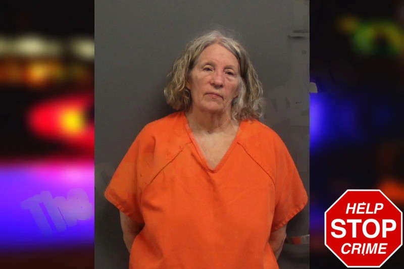 Linda Bunting mugshot