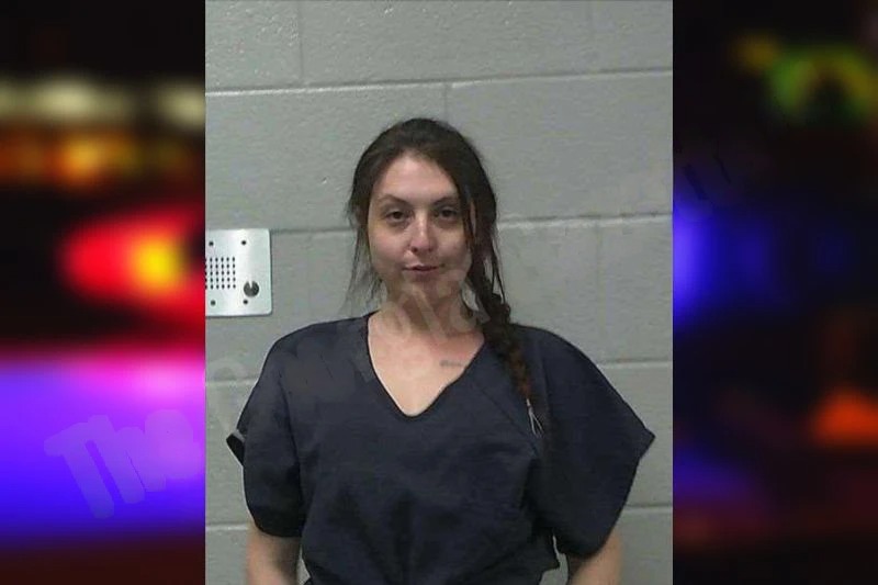 Linda Nichols Mugshots