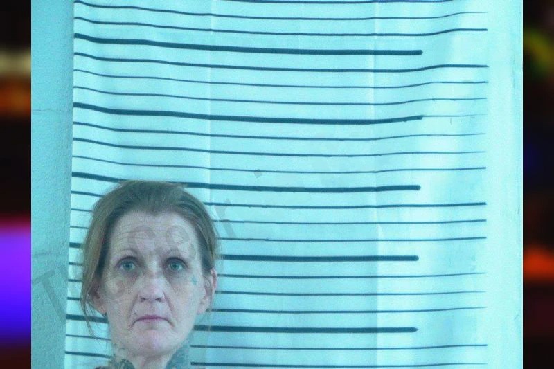 Lindsey Damewood Mugshots