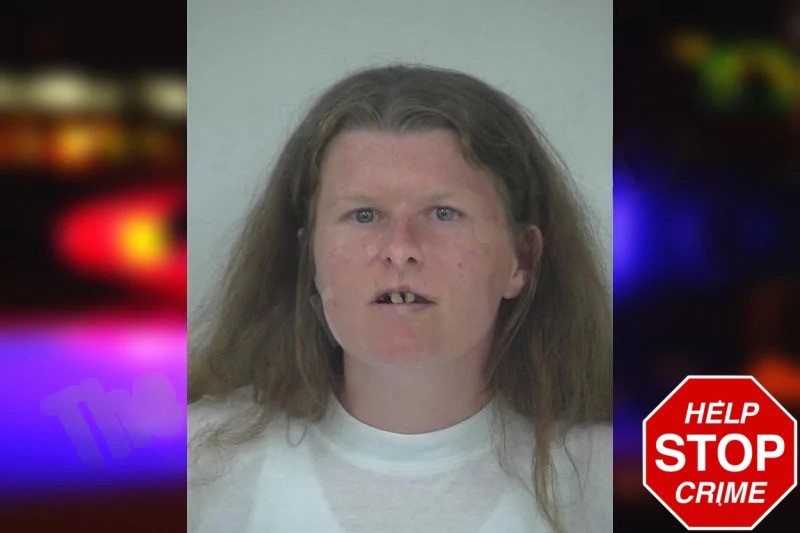 Lindsey King Mugshots