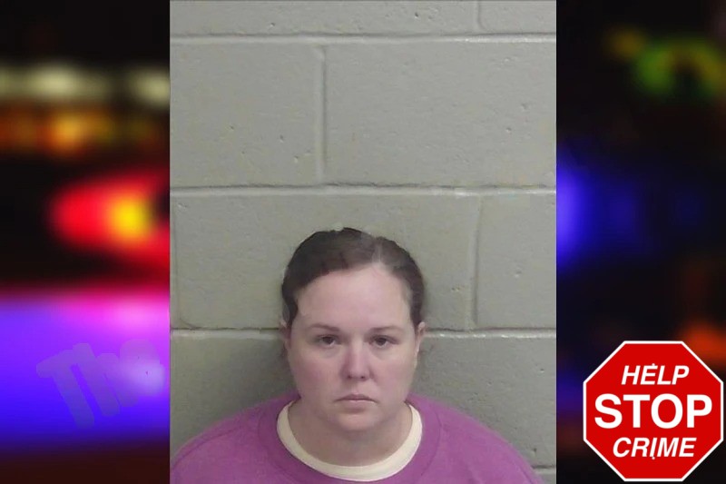 Lindsey Sargent Mugshots