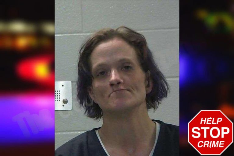 Lisa Bomber mugshot – Gilmer County , Georgia Lisa Bomber