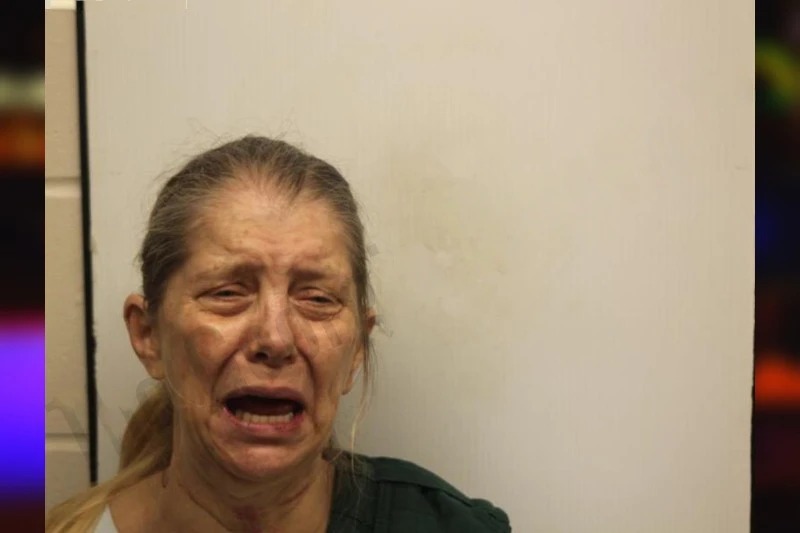 Lisa Forehand Mugshots