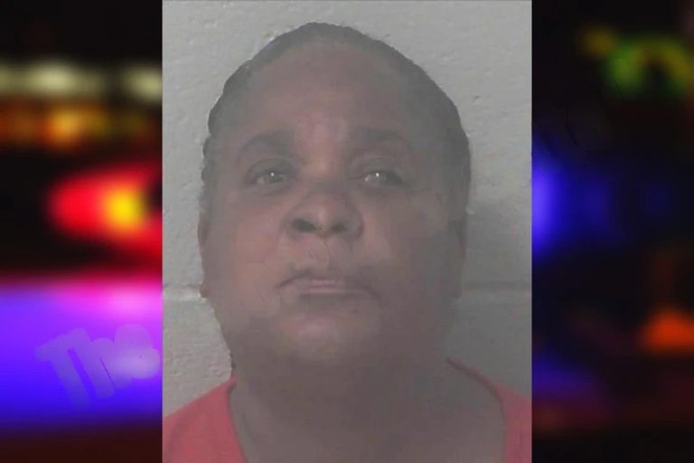 Lisa Greenlee mugshot – Newton County , Georgia Lisa Greenlee