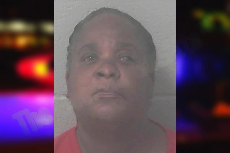 Lisa Greenlee mugshot – Newton County , Georgia Lisa Greenlee mugshot