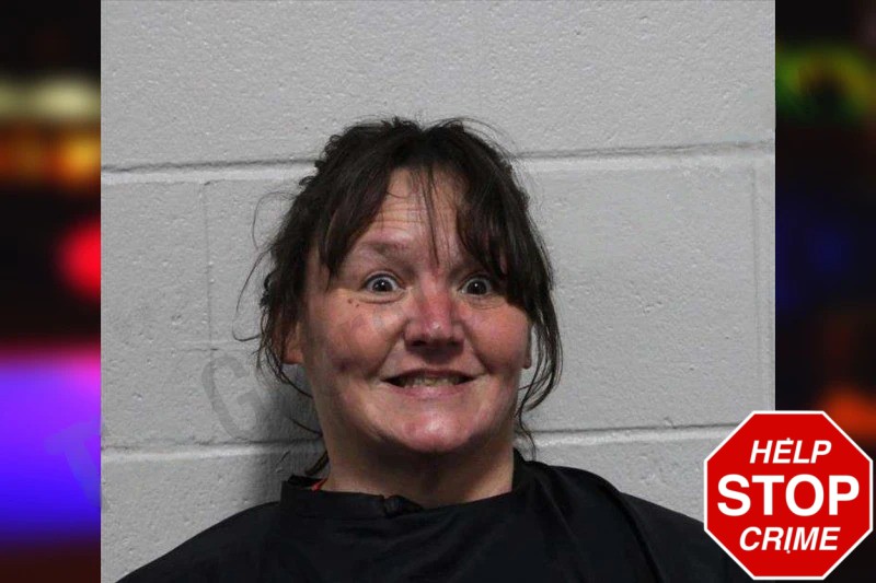 Lisa Lambert Mugshots
