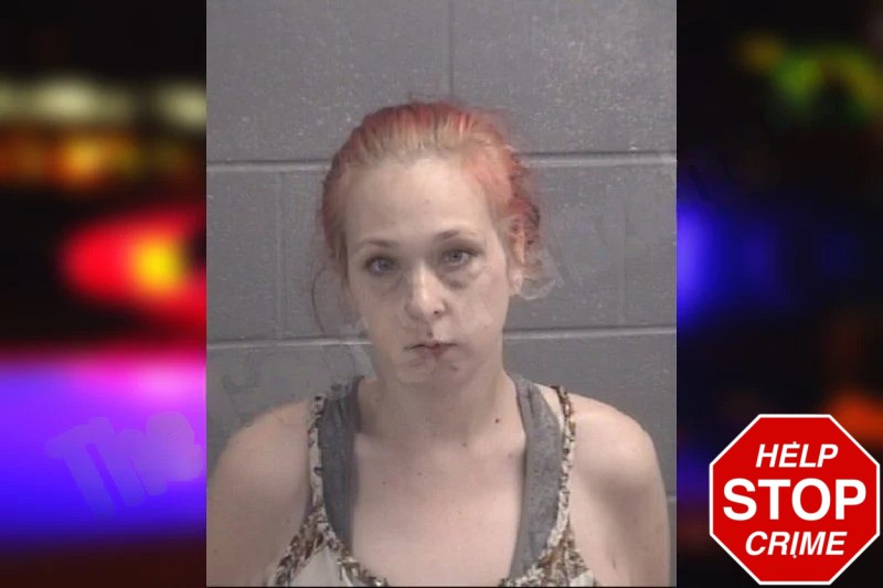 Lisa Mayfield Mugshots