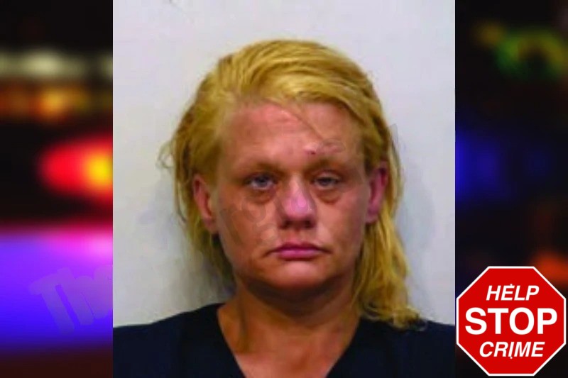 Lisa Mulkey Mugshots