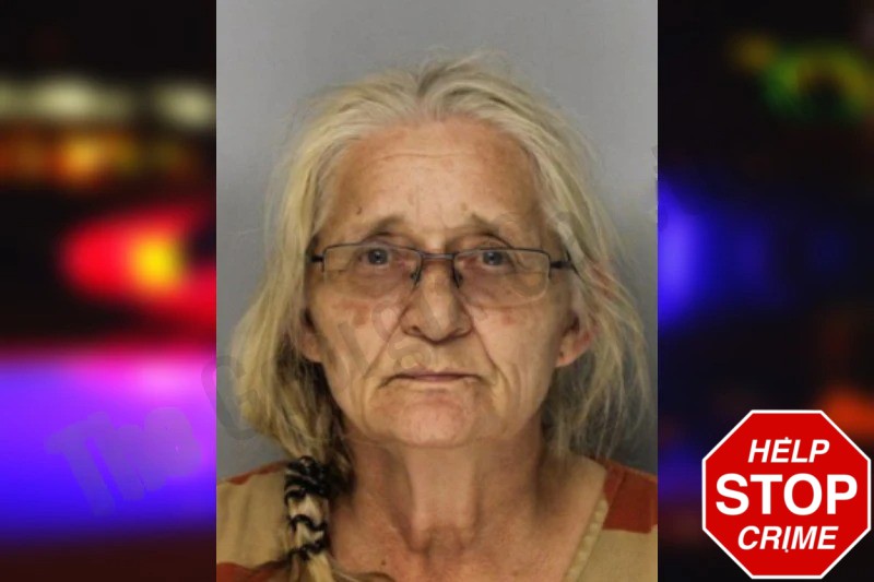 Lisa Reidling Mugshots