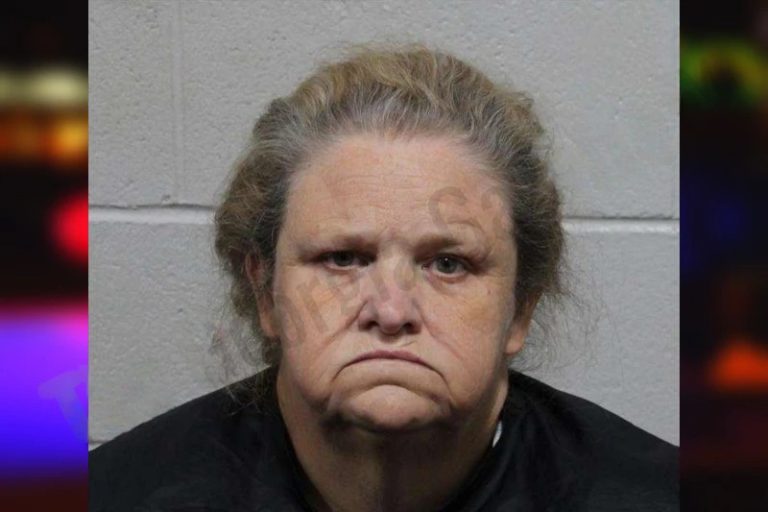 Lisa Watson mugshot – Habersham County , Georgia Lisa Watson