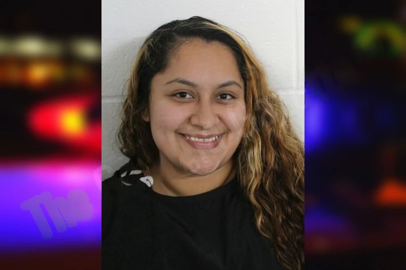 Litzy Castillo-Martinez mugshot