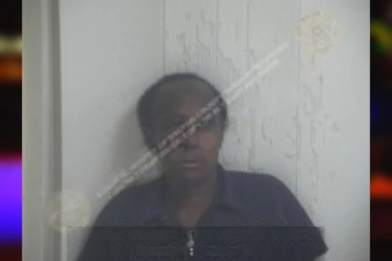 Lizzie Meadows Mugshots