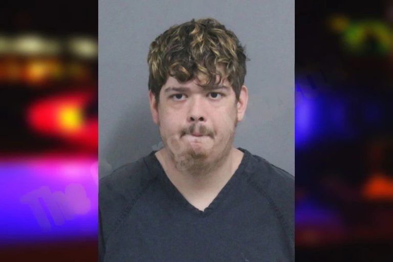 Logan Lowry mugshot – Catoosa County , Georgia Logan Lowry