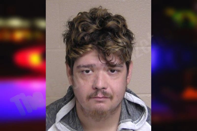 Logan Lowry Mugshots