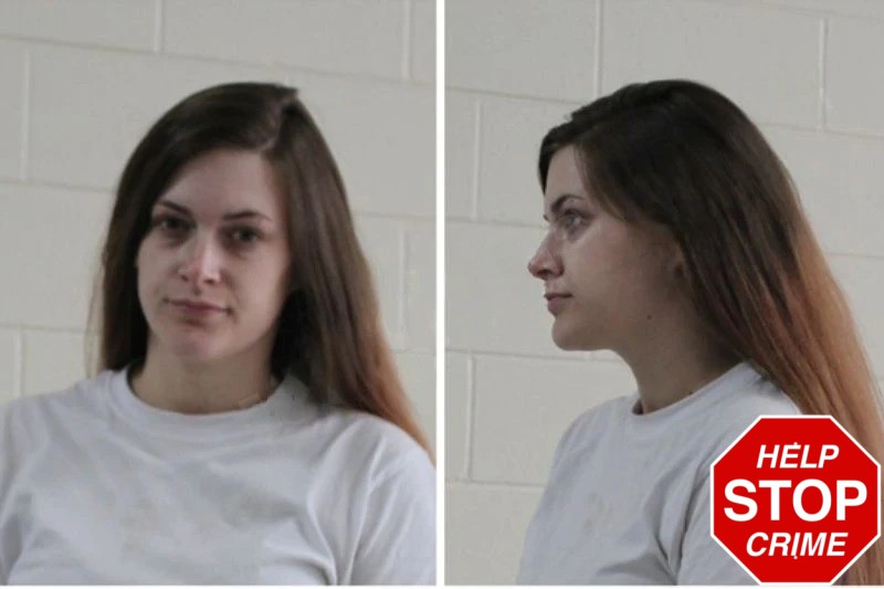 Logan Turner Mugshots