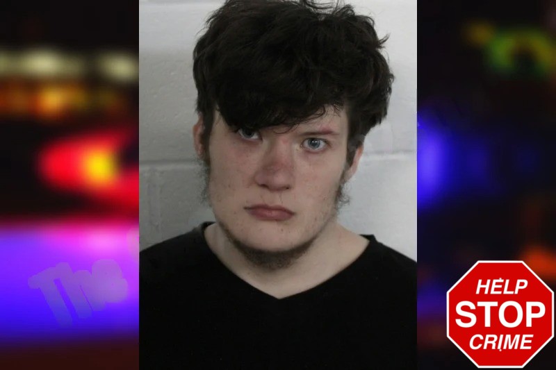 Logan Wesley mugshot