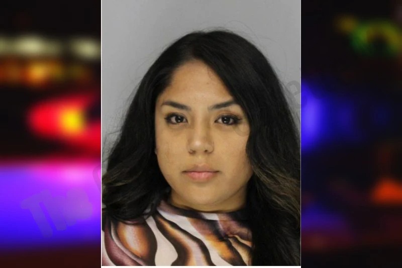Lorena Munoz-Chavez Mugshots