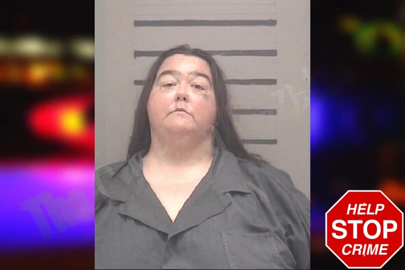 Lori Conley Mugshots