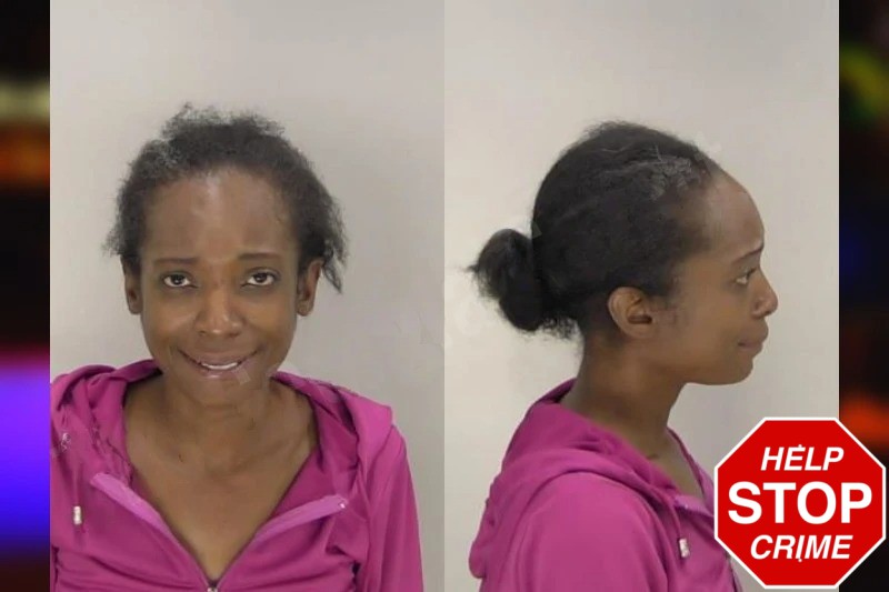 Lori Harvey Mugshots