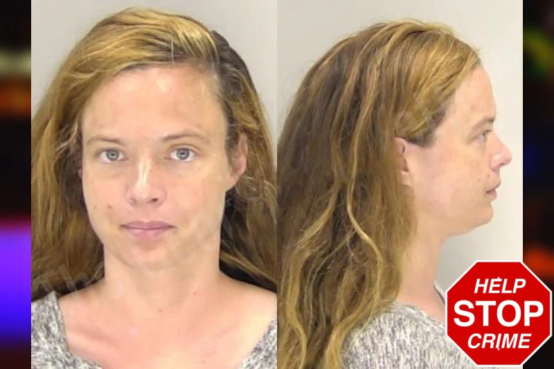 Lucy Lansing Mugshots