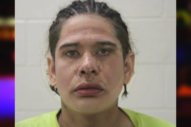 Luis Dieppa-Rodriguez Mugshots