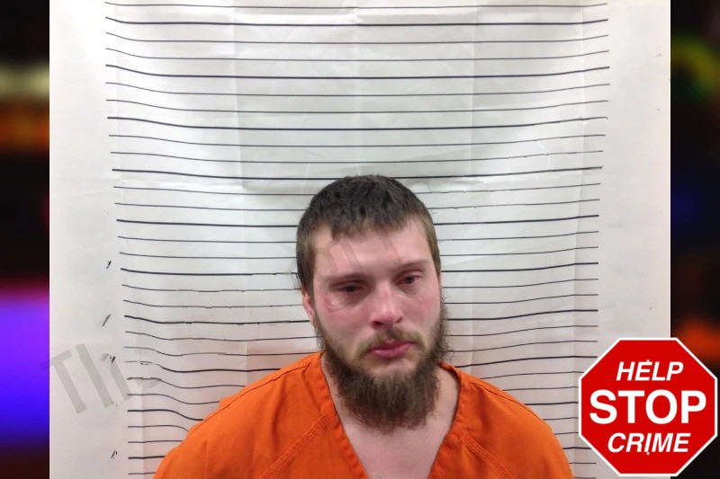 Lukas Hollingshead Mugshots