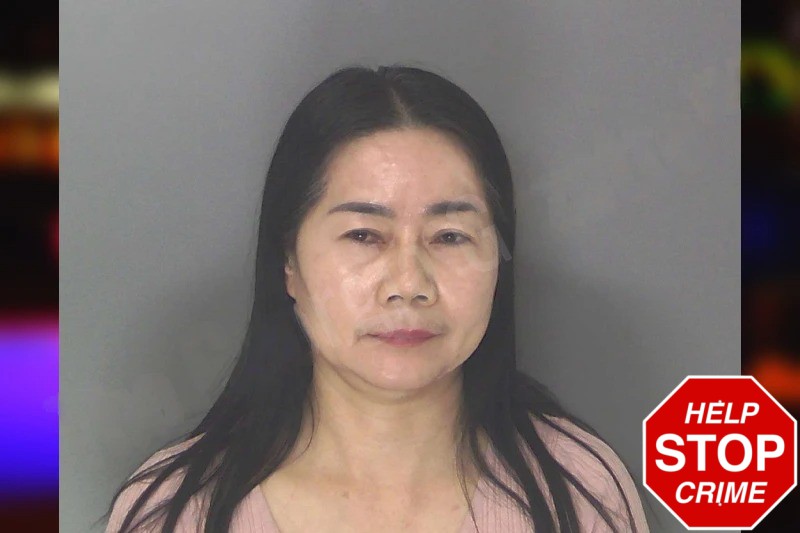 Luo Hongxia Mugshots