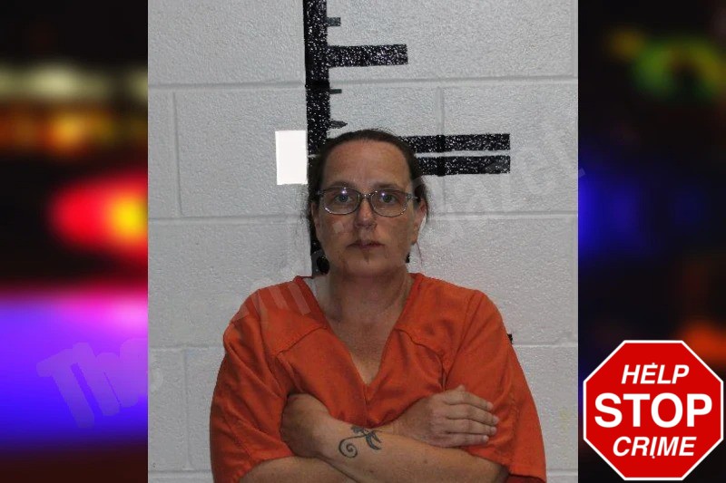 Lynda Harris Mugshots