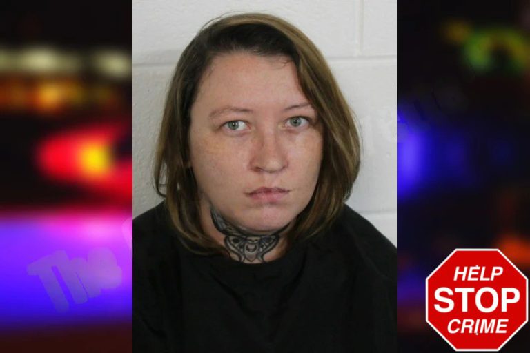 Lyndsay Townsend mugshot – Floyd County , Georgia Lyndsay Townsend