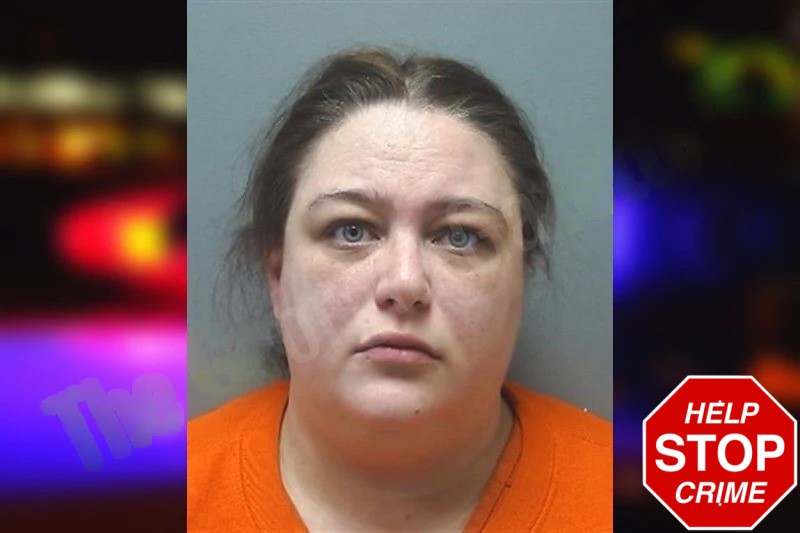 Lyndsie Hogan Mugshots