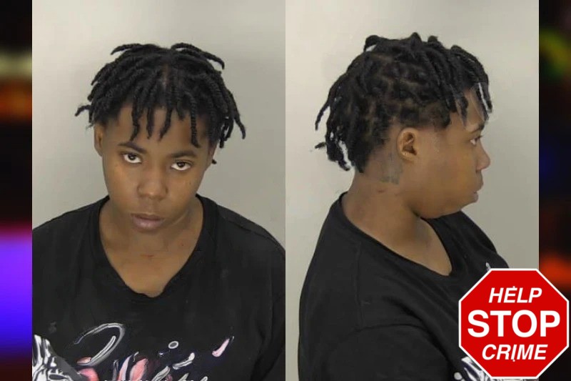 Lyric Dorsey Mugshots