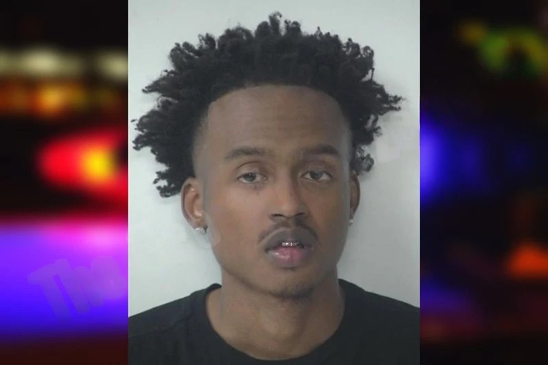 MacKenzie Houston mugshot