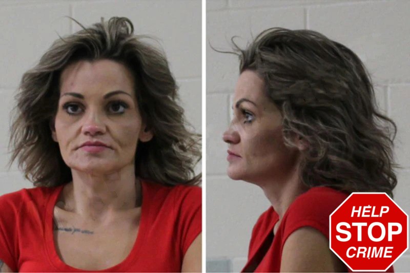 Mackenzie Jackson Mugshots