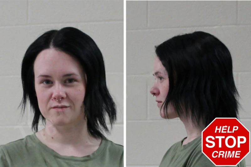 Madison McEldowney Mugshots