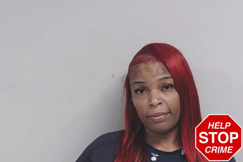 Madonna Lee Mugshots