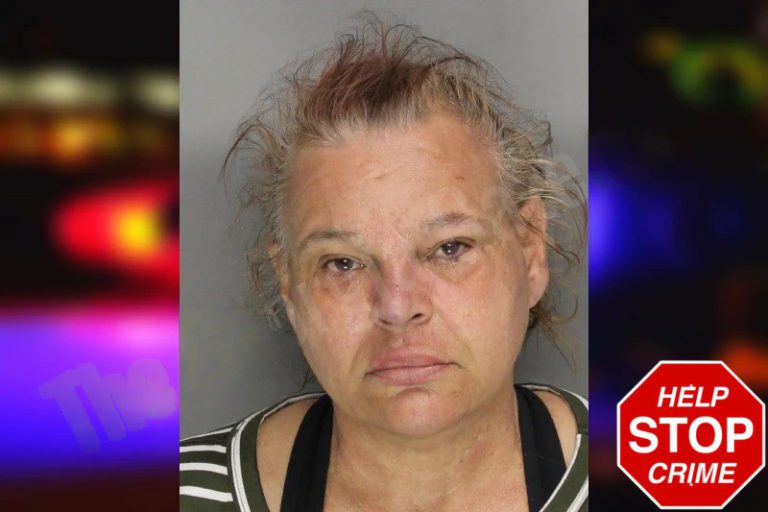 Malissa Harkins mugshot – Columbia County , Georgia Malissa Harkins