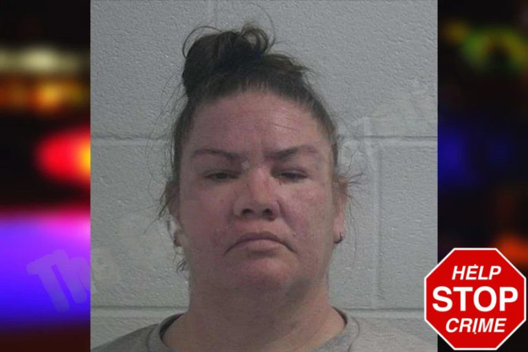 Maranda Guillam mugshot – McDuffie County , Georgia Maranda Guillam