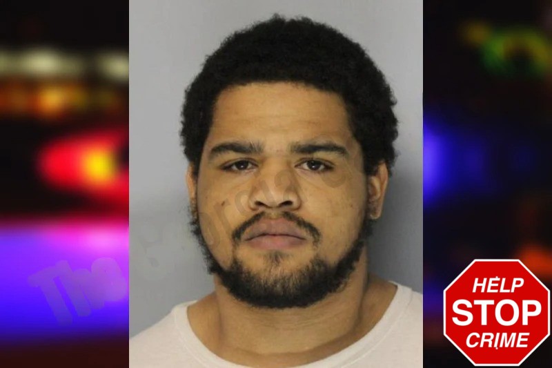 Marcus Holmberg Mugshots