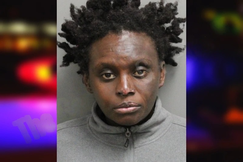 Margaret Waweru mugshot – Cobb County , Georgia Margaret Waweru mugshot