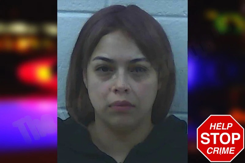 Maria Alfaro-Remes Mugshots