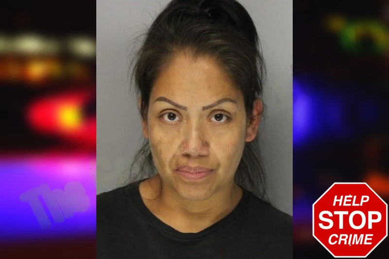 Maria Chavez Mugshots