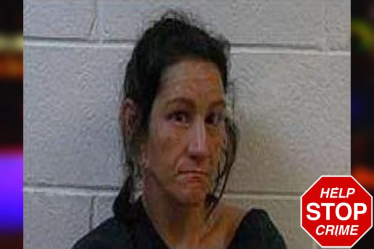Maria Crocker mugshot – Polk County , Georgia Maria Crocker