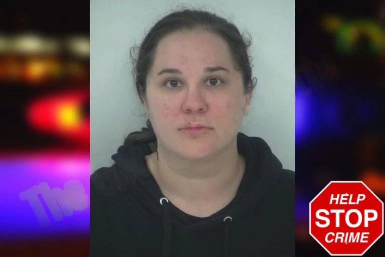 Maria Figueroa mugshot – Fayette County , Georgia Maria Figueroa